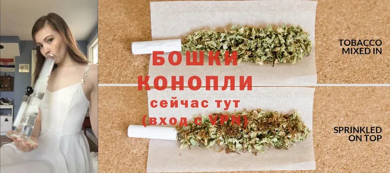 Шишки марихуана Amnesia  где купить наркоту  Губкинский 